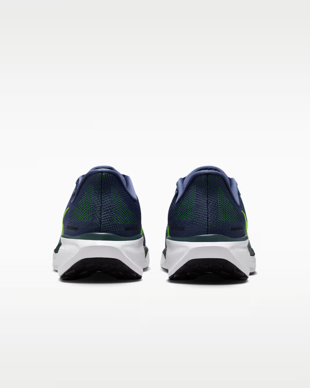 Air Zoom Pegasus 41 - MSBSN