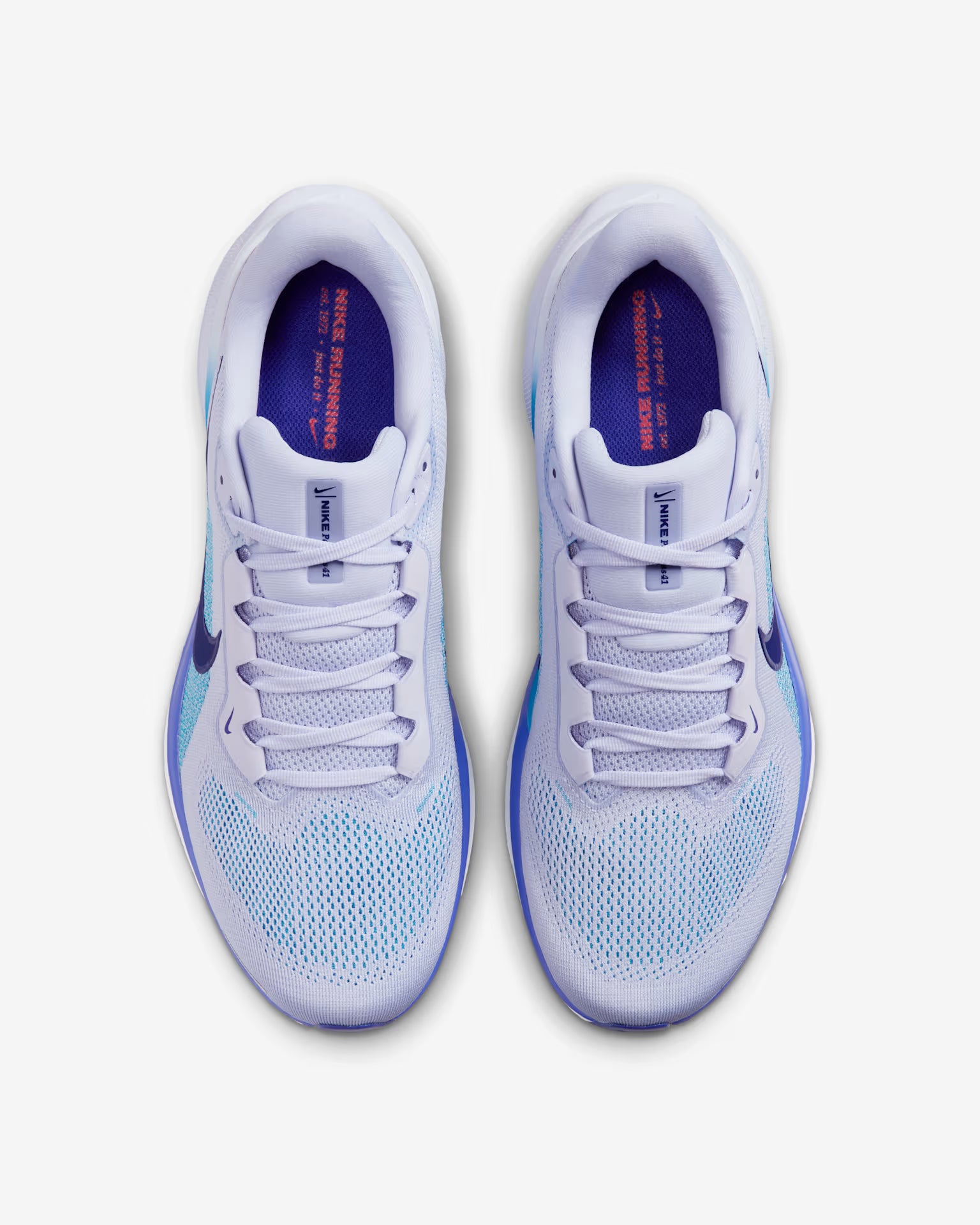 Air Zoom Pegasus 41 - MSBSN